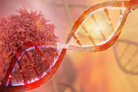 Cancer breakthrough as experimental new drugs put seriously ill patients into remission