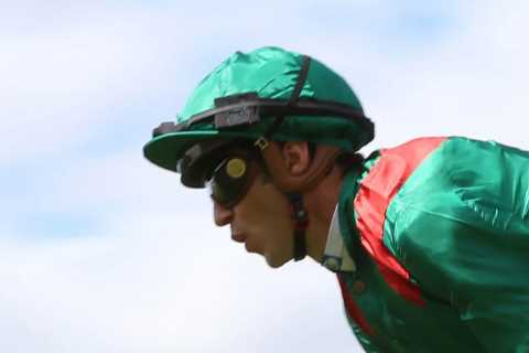 PUNTERS DISAPPOINTED AS ANOTHER TOP HORSE, VADENI, IS RETIRED AND SENT TO STUD AFTER A GLITTERING..
