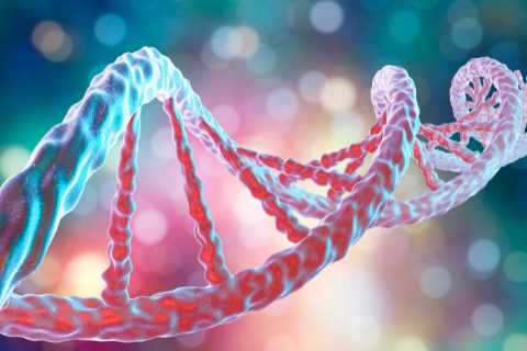 Scientists Identify Four New Genes Linked to Increased Risk of Breast Cancer