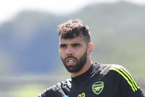 David Raya Makes Arsenal Debut in Behind-Closed-Doors Friendly with Luton and Two Players Make..