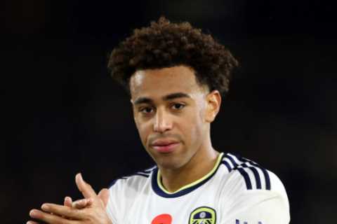 Tyler Adams 'completes £20m Bournemouth' transfer move from Leeds days after Chelsea pull plug on..