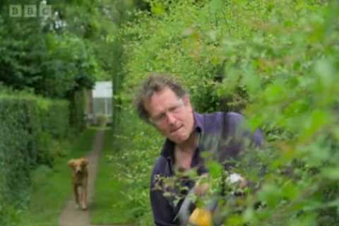 Monty Don blasted by Gardeners’ World fans for endangering co-star with ‘catastrophic’ mistake