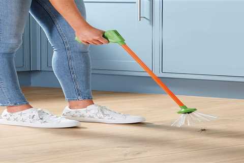 Aldi Shoppers Rave About Spider-catching Device