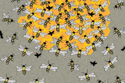 You’re in the top 22% if you can spot the queen bee in less than 5 seconds