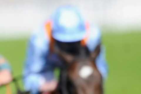 Millionaires, racing royalty and unbeaten champions – who’s next off conveyor belt of stars to win..