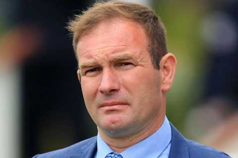 Trainer 'devastated' as two horses die in tragic incidents