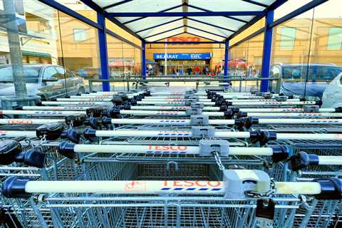 I live off £20 a week shopping at Tesco… it’s so easy – here’s how you can too