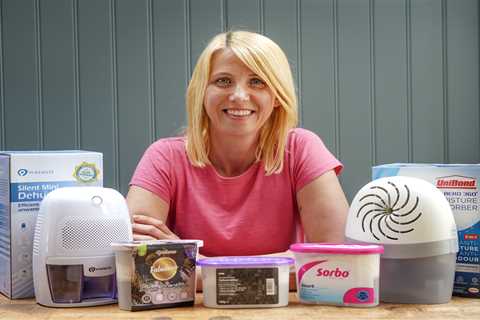 I tested £1 mini dehumidifiers – the winner will keep your home cool AND prevent mould for months