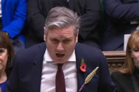 Why MPs Wear a Wheat Sheaf: The Meaning Explained