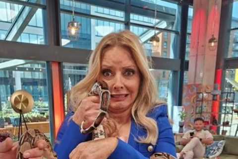 Carol Vorderman Tries Bizarre Beauty Treatment With Snakes and Snails