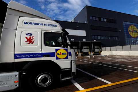 Lidl Records £75.9 Million Loss, but Continues Winning Over Shoppers