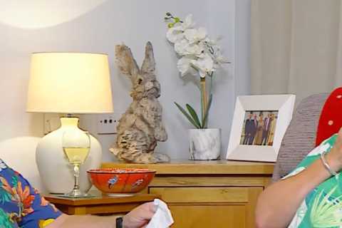 Gogglebox stars brought to tears by emotional clip from My Mum Your Dad