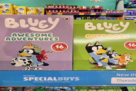 Parents Flock to ALDI for Bluey Ladybird Books at Unbeatable Price