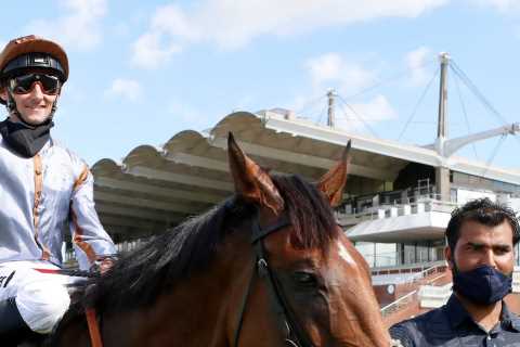 Templegate's Ante-Post Tips: Summerghand to Shine in Ayr Gold Cup