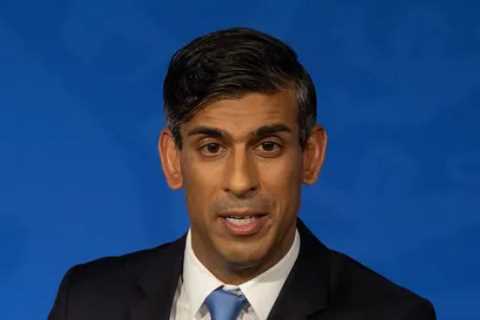 Wealthy Critics of Rishi Sunak's Net Zero Easing Need to Pipe Down, Says Government