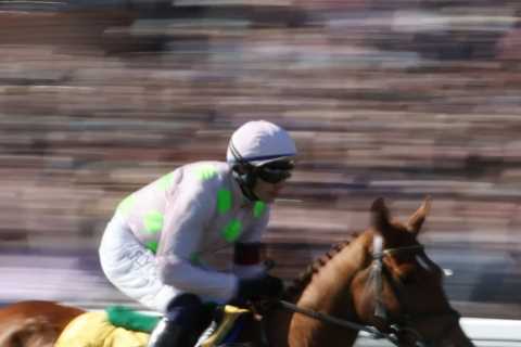 Vauban set to dominate Melbourne Cup, leaving Aussies stunned