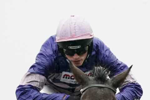 Superstar chaser Cyrname dead aged 11 as devastated punters remember heroic horse who ended..
