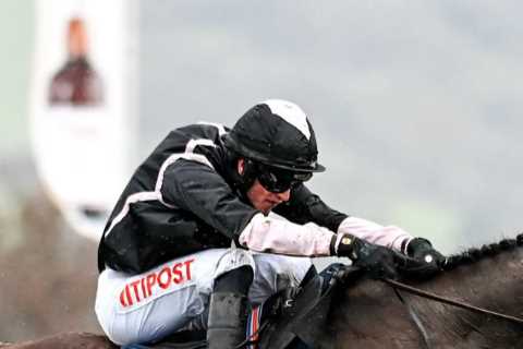 Tributes Paid to Mike Grech, Former Owner of Star Horses, After His Passing at 63