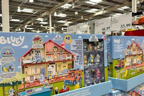 Costco Shoppers Rush to Nab Half-Price Bluey Toy Set