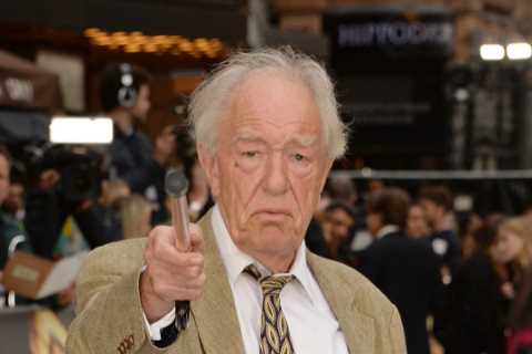Was Sir Michael Gambon in Lord of the Rings?