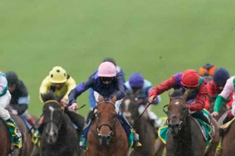 Templegate's Tip for the Cambridgeshire Handicap at Newmarket