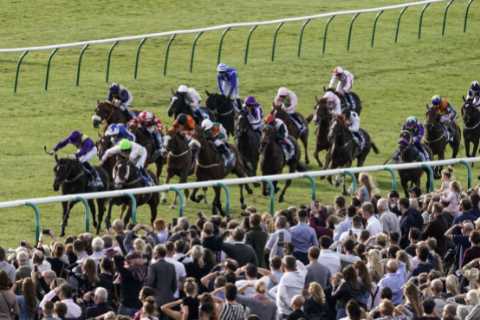Templegate reveals 20-1 Cesarewitch tip for owners who love big-money staying races