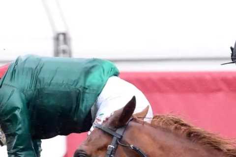 Prix de l’Arc de Triomphe horse numbers 2023 – full list of runners for huge Paris showpiece