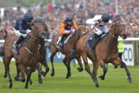 Legendary racehorse Marsha dies at age 10