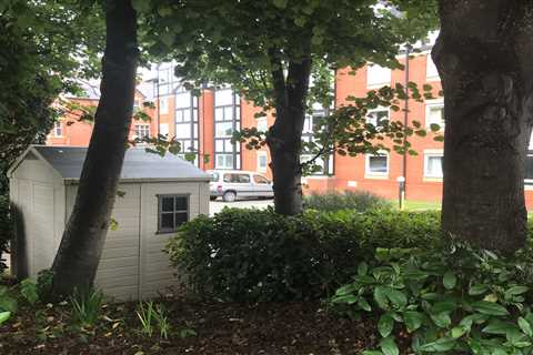 Woman Ordered to Tear Down Shed in Parking Space - Vows to Fight Back