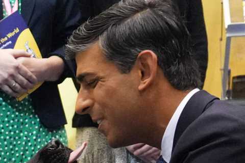 Rishi Sunak dismisses early general election rumors, focusing on delivering for the people