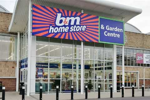 B&M Shoppers Score Bargain of a Lifetime with Pool Purchase