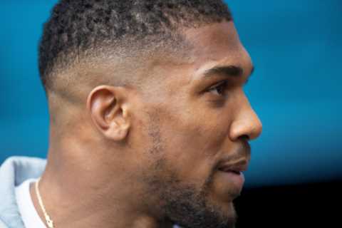 Anthony Joshua backs Dillon Danis in feud with Logan Paul over Nina Agdal - There are no rules..