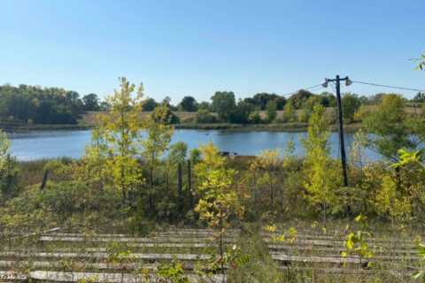 Abandoned Speedway Track in Minnesota Overgrown and Submerged After Nature Takes Over Following..