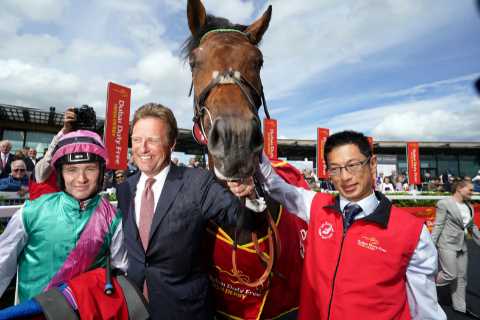 Irish Derby Winner Westover Retires After Career-Ending Injury