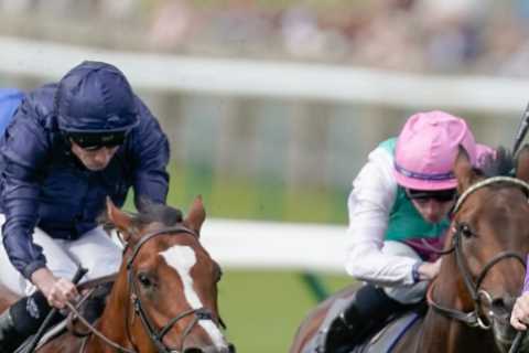 Tote World Pool comes to Newmarket with huge payouts on offer for UK punters