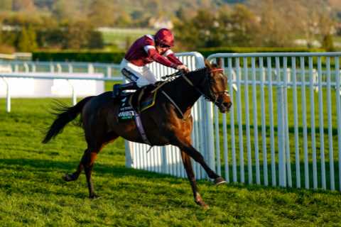 Devastated horseracing owners ‘in pieces’ after highly-rated I Like To Move It dies on chasing debut