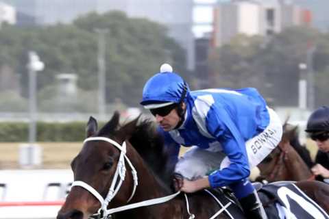 Breeding Crisis in Australia: Coolmore Only Interested in Middle-Distance Superstars