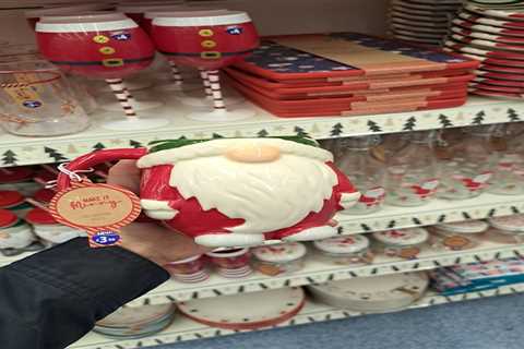 B&M Shoppers Go Crazy for New Gonk Christmas Collection