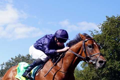 Aidan O’Brien’s Superstar Set for Big Return in Dewhurst Stakes