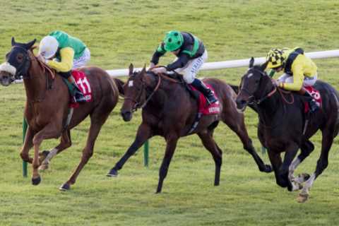 Cesarewitch Horse Numbers, Runners, Riders, and Templegate Tip for Newmarket Thriller