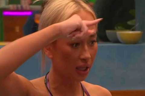 Big Brother Fans Suspect Producers Planted Contestants to Stir Up Drama