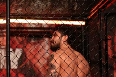Dillon Danis Claims Victory in Grudge Match Against Logan Paul After Inflicting Brutal Injury
