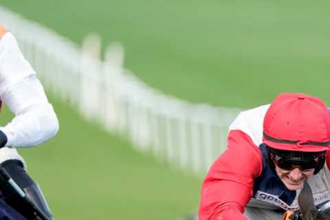 Punter Scores Huge Win with Amazing 4,394-1 Bet at Ffos Las