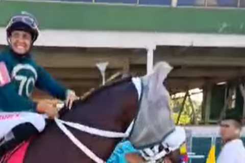 Tragic loss: Woman jockey dies after mid-race fall