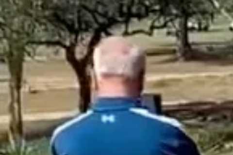 Incredible Moment Golf Game Interrupted as Two Giant Hippos Fight Just Yards from Players