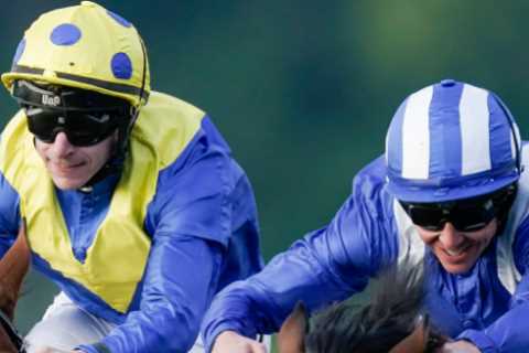 Superstar Racehorse Hukum Set to Make Millions at Stud