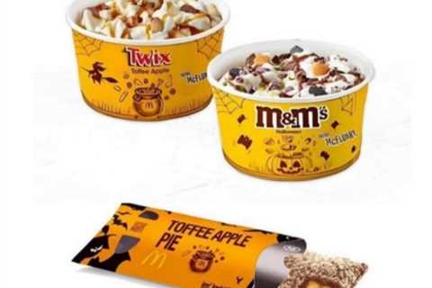McDonald's Launches New McFlurry Flavors and Fall-Themed Treats