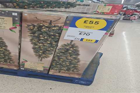 Supermarket Shoppers Rave about Bargain Pre-Lit Christmas Trees
