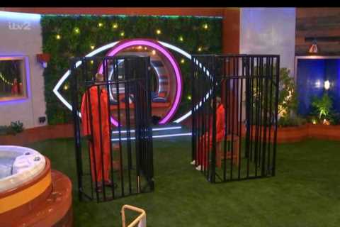 Big Brother Fans Criticize 'Dumb and Anticlimactic' Punishment for Housemates Breaking Rules