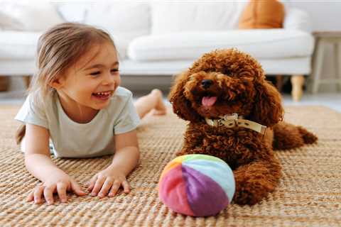 Four Free Tips for Pet Owners on a Budget
